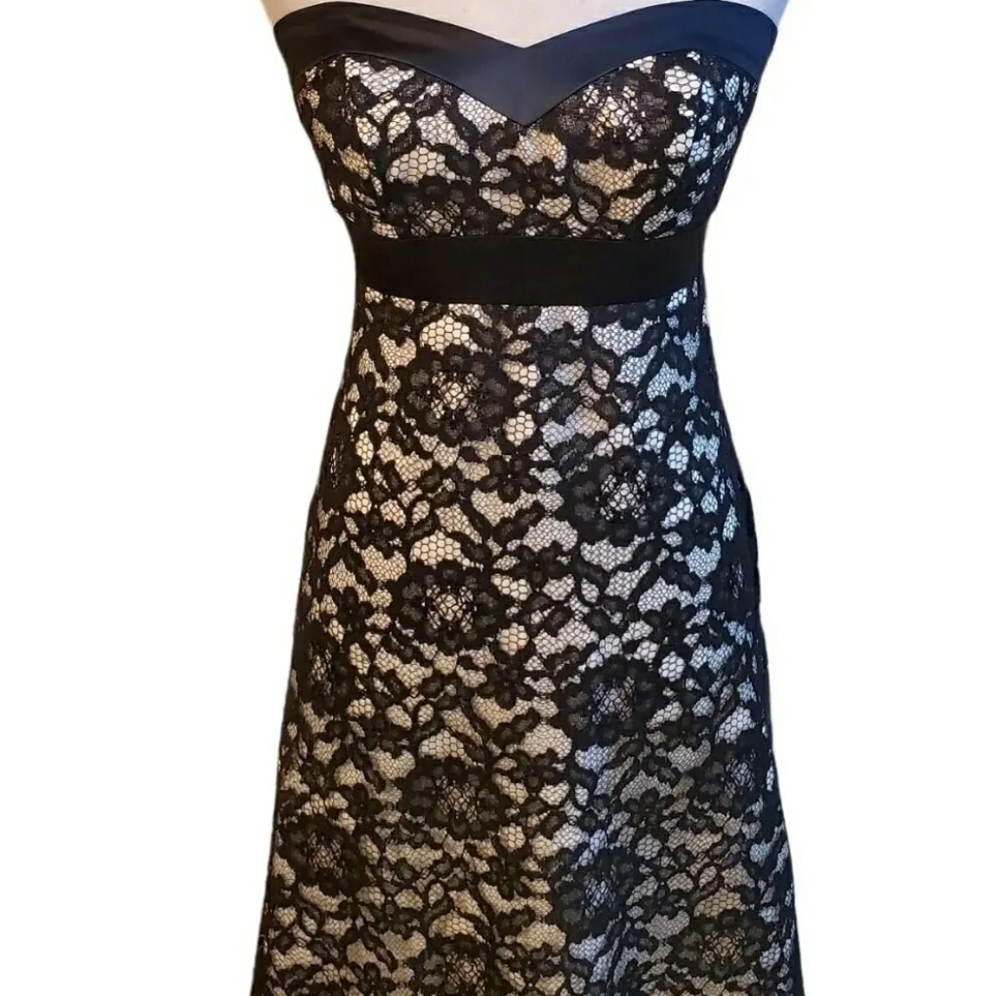 WHITE HOUSE BLACK MARKET STRAPLESS LACE WEDDING COCKTAIL DRESS 8 M - Picture 2 of 7